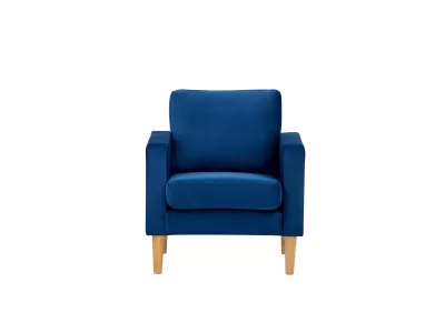 Velvet Fabric Upholstered Armchair 